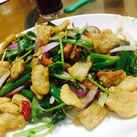 ���Ի���̨��NO.24������һֻС����С����