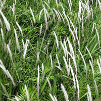 �����ӣ��ö࣬ȫ�����ж���