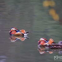 ֻ��ԧ�첻����