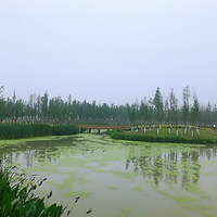 ������Ҳ������������