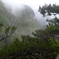 һ���˸���һȺ��¿�˼���