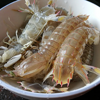 ��ĸ�׽ڡ������������