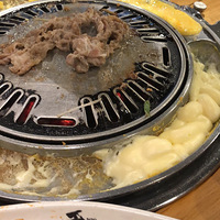 ���Ϳ���