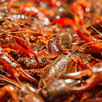 �ָ����ļ�����ح������Ϻ+������Ʒ����������һ�ģ�