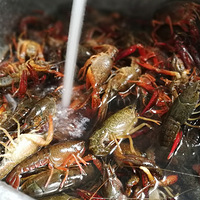 ���Ի���̨��No.25�������һ��С��Ϻ�Լ���