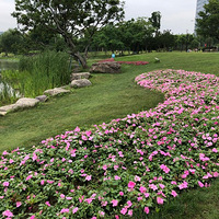 ʮ����ʮ��֮ħ��ħ��ѵ�����ߣ�