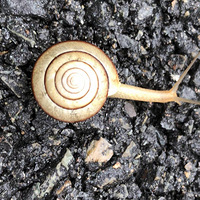 ��ĩ��ĩ����լ������