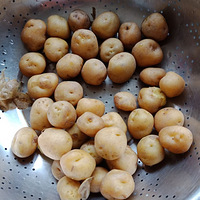 ���Ի���̨��NO.25������С����