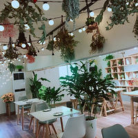 ���Ի���̨��NO.25����������