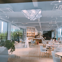 ���Ի���̨��No.25�������֮Ʒ����