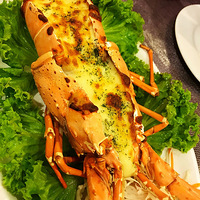 ϣ��ÿ�춼�ܸ���һ�����͡�