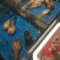 �����������ˣ�����