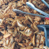 ���� �����Ǳߺó���ʵ�ݵ�ը�����Ǻͼ����