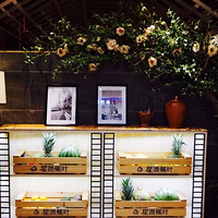 ���Ի���̨��NO.25���������޽�Ҷ