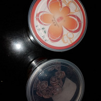 ���Ի���̨��NO.25��������÷��