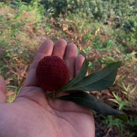 ������÷