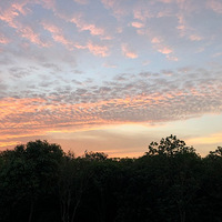 ҹ̽����ң�����ʳ���