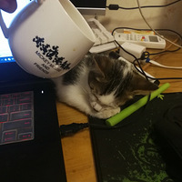 �Ҹ���ð�ݡ�