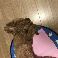 Ҳйʺˣϣ鿴ӣң