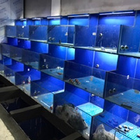 Ҫ��Ҫ�����Ϻ�������ȥ���ɷ�չ��