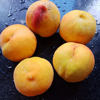 ���Ի���̨��NO.26�����ƻ��ҹ�ͷ ���ҹ�ͷ�ļ�ͥ���������