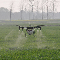 ��������С������һ��ɺò�