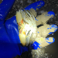 ������з�ˣ�ˮ���Ϻܶ�Ư���ţ�Ұ����