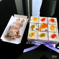 ɳƤ�������