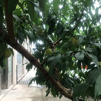 ����ũ��ã���ǰ���Ӻô����