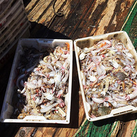 1500�������˽�һ�£�