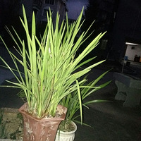 �й�ͬ���õ����Ի���ý