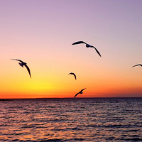 2018��������Ӱ