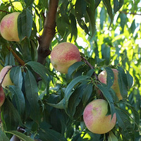 ���ڻ�������ѽ