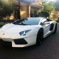 ƽֳƽˮƽν15°LP700