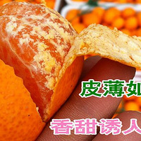 �ٺ�ӿȪ�۽�������ժ��-��ƽ��԰