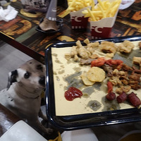 ���Ի���̨��No.28��������-���ҵ�ը��