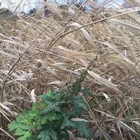 ����һ�쿪ʼ��