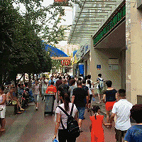 20��͵��20�����ư������١���͵����������̽��