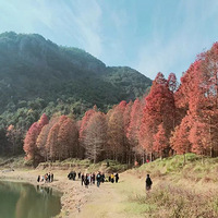 �����ѵ�������