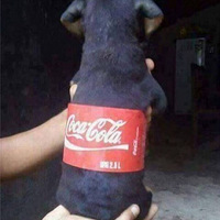һμҳж...ĻϢ˹