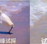 ��ñ�ץ����������3����