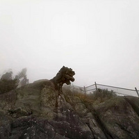 ̨���������̨�ݣ�һ��Ȥ�Լݣ�