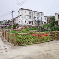 ת��������������µ������ա�������