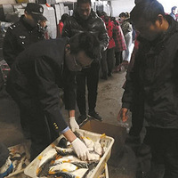 �����鵽639��綾���࣬4�Ҳ�����ͱ���10��