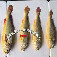 �������3000��Ĵ���㣡����̨��������...