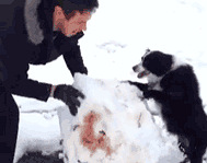 ������̨��Ҫ��ѩ��