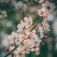 �������������������л�����ϣ�