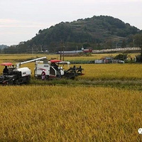 �ٴ��У����������������ţ��������ظϼ��ؾ�֮��