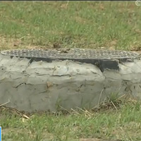 30����·���һ˫Ь�������Ƕ��Ż���