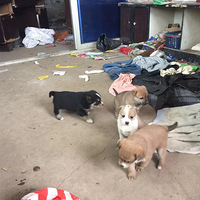 ����Ǯ,�����С��